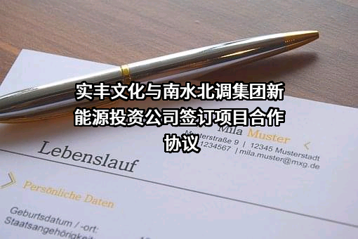 中国南水北调集团新能源投资有限公司