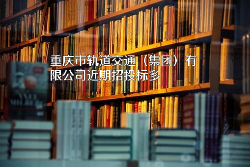 重庆市轨道交通（集团）有限公司