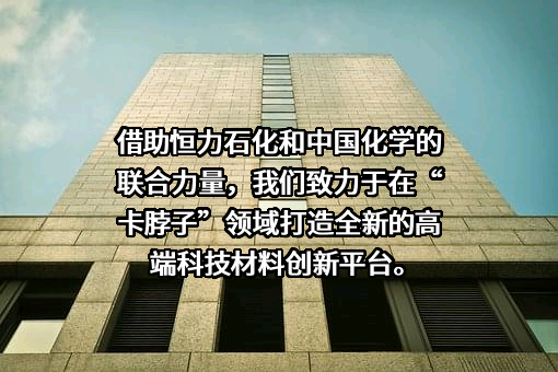 恒力石化股份有限公司