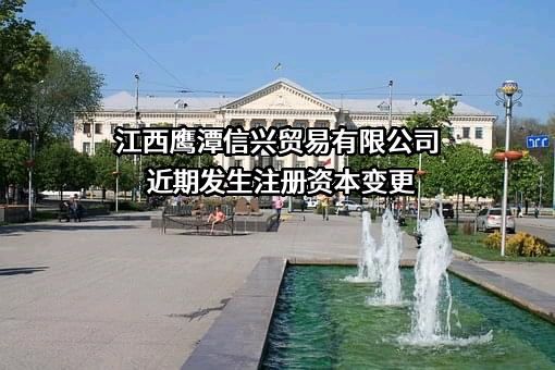 江西鹰潭信兴贸易有限公司
