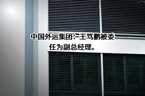 中国外运股份有限公司