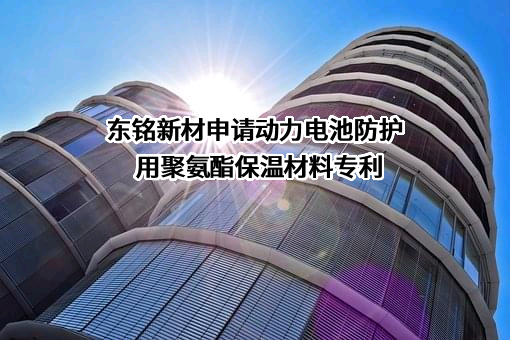 惠州东铭新能源材料股份有限公司