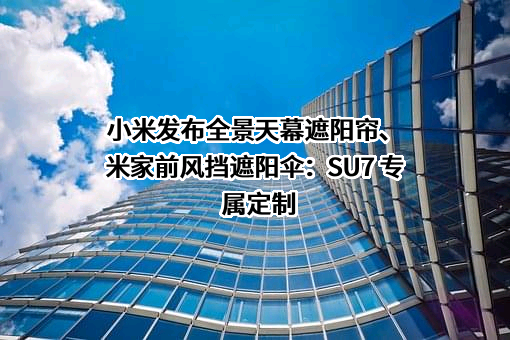 小米科技有限责任公司