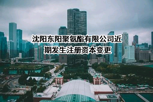 沈阳东阳聚氨酯有限公司