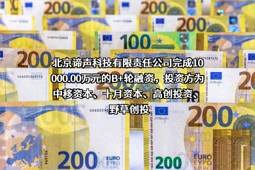 北京谛声科技有限责任公司
