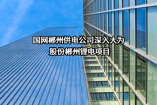 国网郴州供电公司深入大为股份郴州锂电项目