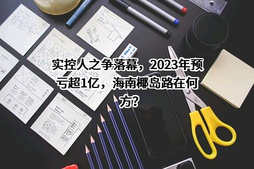 海南椰岛（集团）股份有限公司