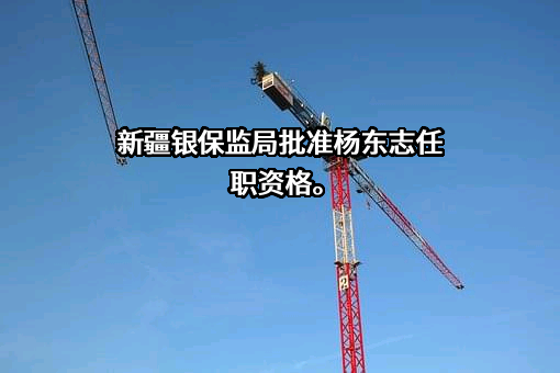 中国进出口银行