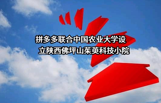 上海寻梦信息技术有限公司