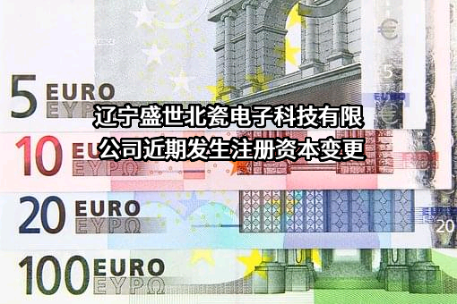 辽宁盛世北瓷电子科技有限公司