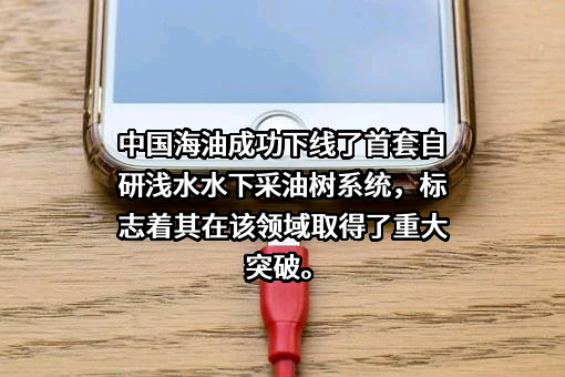 中海油能源发展股份有限公司