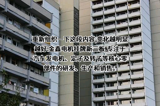 安徽金鑫电机有限公司