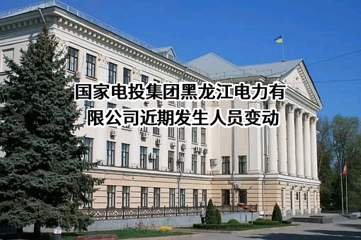 国家电投集团黑龙江电力有限公司