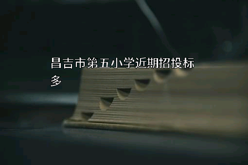 昌吉市第五小学