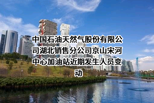 中国石油天然气股份有限公司湖北销售分公司京山宋河中心加油站