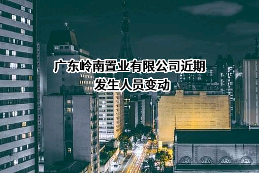 广东岭南置业有限公司
