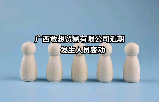 广西敢想贸易有限公司