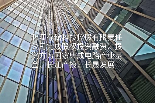长江存储科技控股有限责任公司