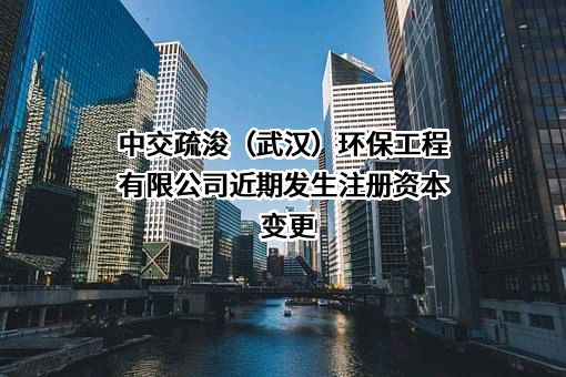 中交疏浚（武汉）环保工程有限公司