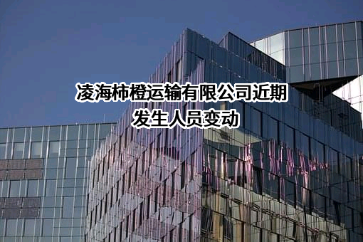凌海柿橙运输有限公司