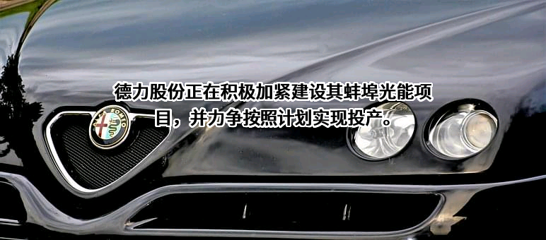 安徽德力日用玻璃股份有限公司
