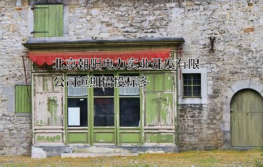 北京朝阳电力实业开发有限公司