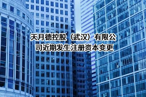 天月德控股（武汉）有限公司