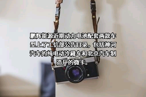 广州鹏辉能源科技股份有限公司