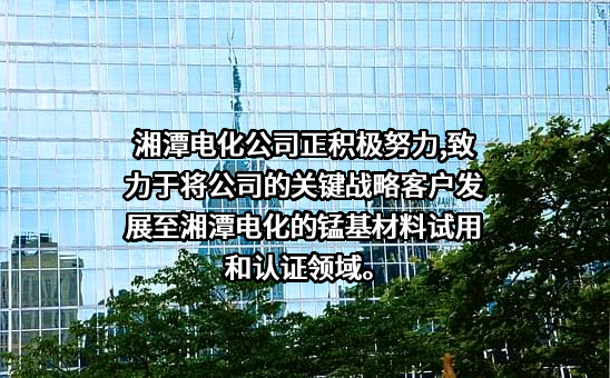 湘潭电化科技股份有限公司