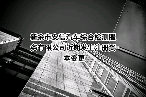 新余市安信汽车综合检测服务有限公司