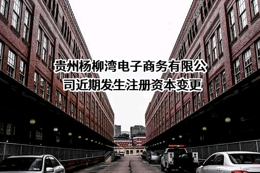 贵州杨柳湾电子商务有限公司
