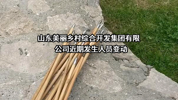 山东美丽乡村综合开发集团有限公司