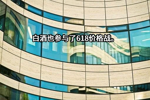 华润啤酒（控股）有限公司
