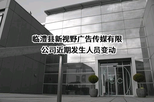 临澧县新视野广告传媒有限公司