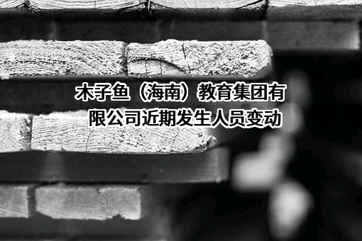 木子鱼（海南）教育集团有限公司