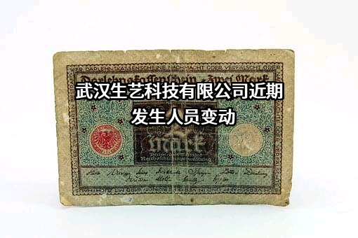 武汉生艺科技有限公司