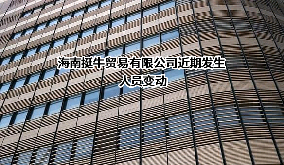 海南挺牛贸易有限公司