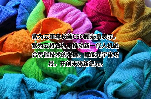 广西紫为云智能科技有限公司