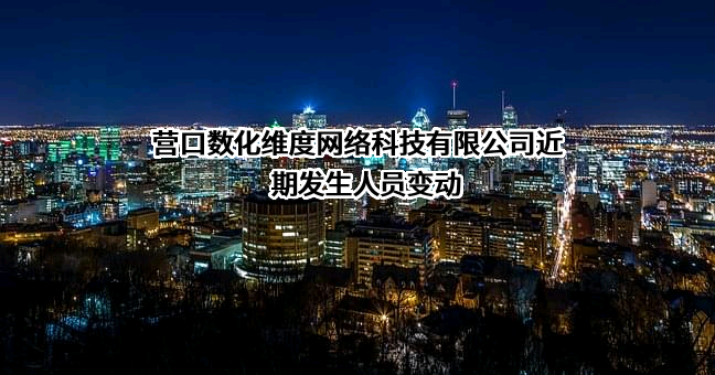 营口数化维度网络科技有限公司