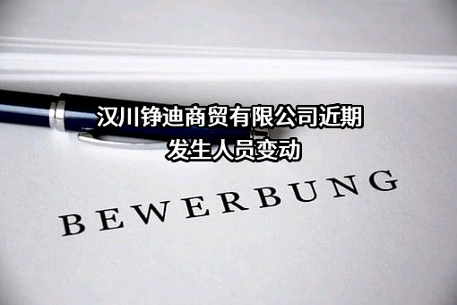 汉川铮迪商贸有限公司