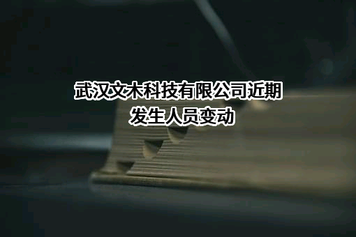 武汉文木科技有限公司