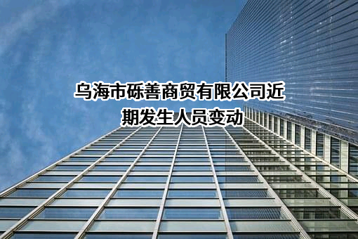 乌海市砾善商贸有限公司