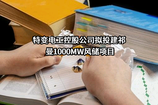 若羌县同昌新能源有限公司