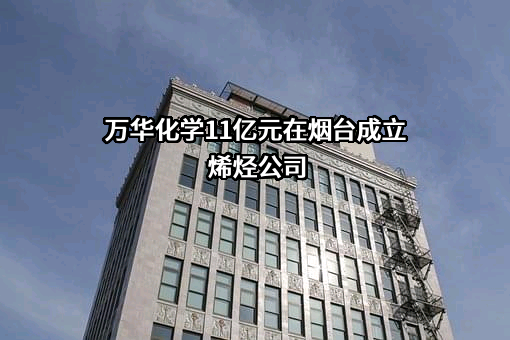 万华化学集团股份有限公司