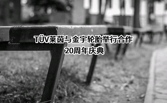金宇轮胎集团有限公司