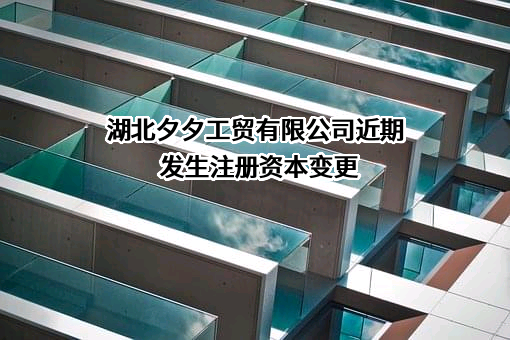 湖北夕夕工贸有限公司