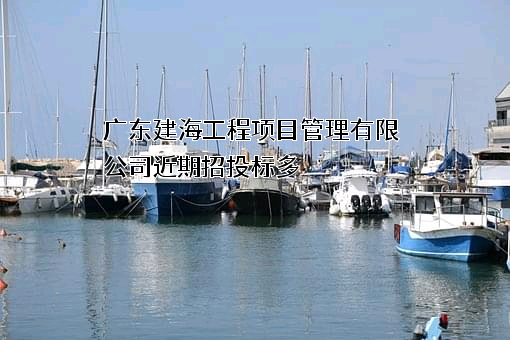 广东建海工程项目管理有限公司近期招投标项目多