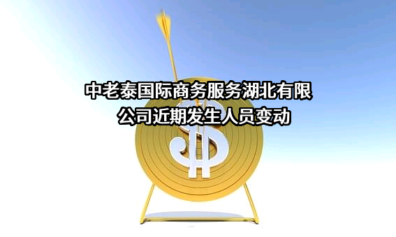 中老泰国际商务服务湖北有限公司