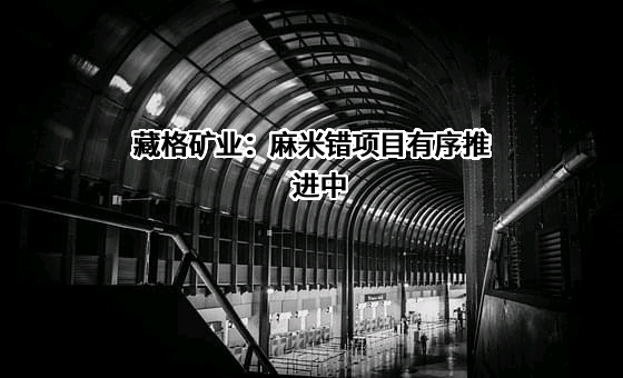 藏格矿业股份有限公司