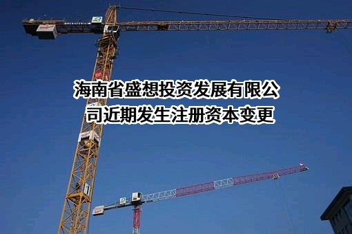 海南省盛想投资发展有限公司